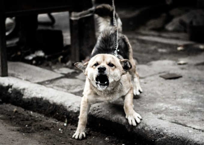 pagespics-com-1-of-1-6