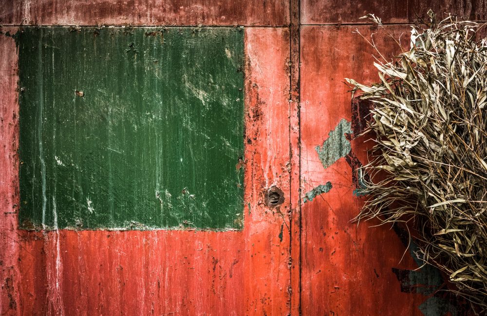 Still Life Hongzhen Lu