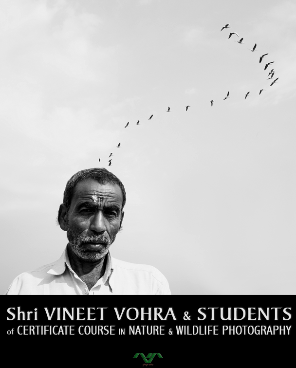 35331405903_7e3b39dfdb_o