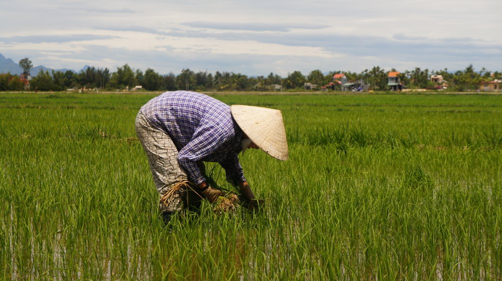 pagespics (22 of 25)