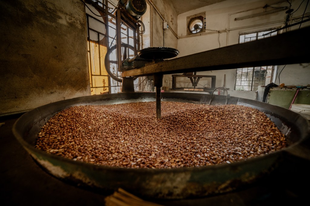 This image was taken with an extremely wide-angle lens, which is handy when I want to establish a location.